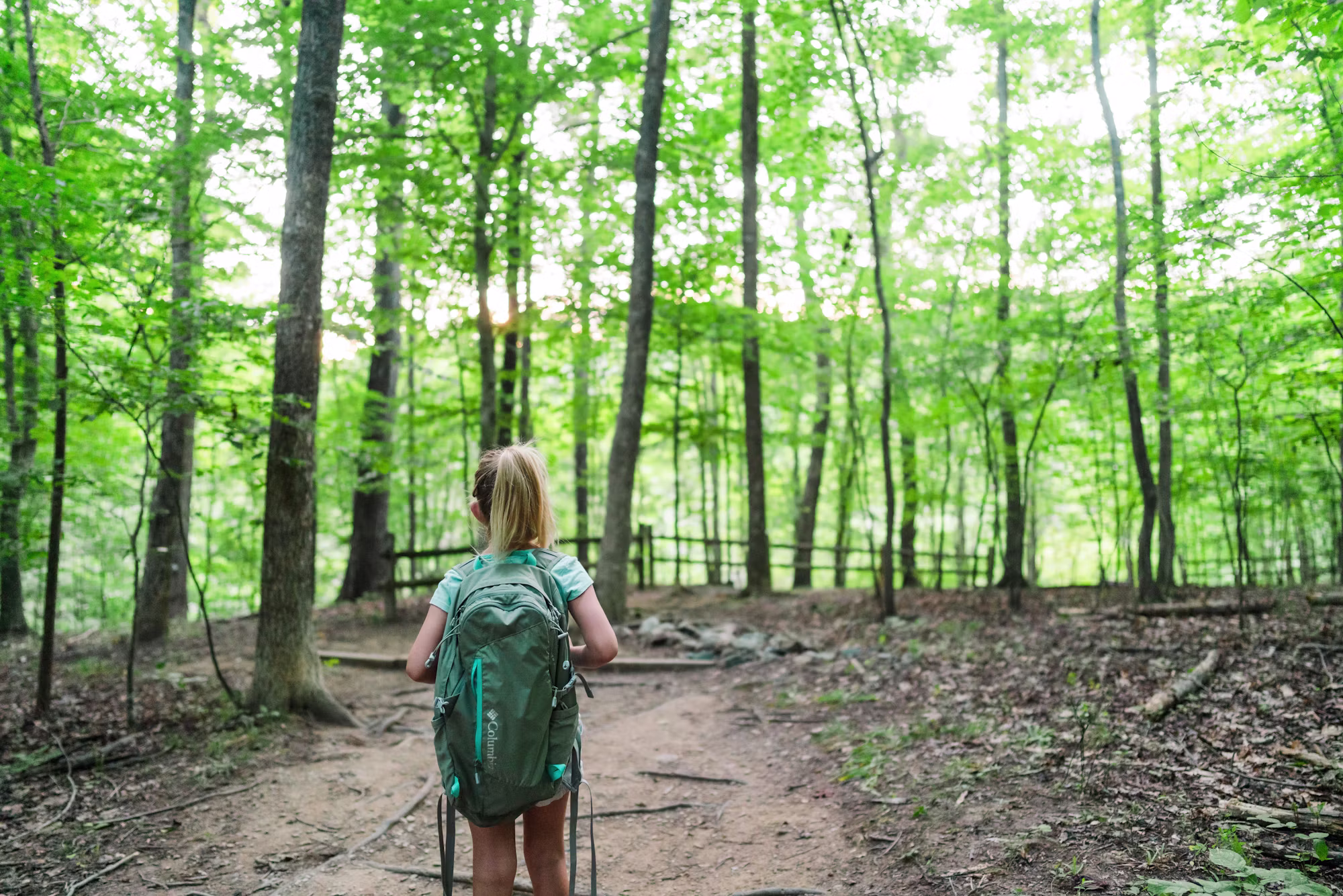 Una guía para principiantes sobre fotografía al aire libre: capturando la belleza de la naturaleza